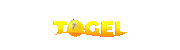 Logo INULTOGEL